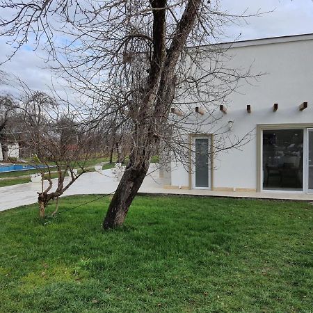 Pensiunea Groza Târgu Jiu Exteriör bild