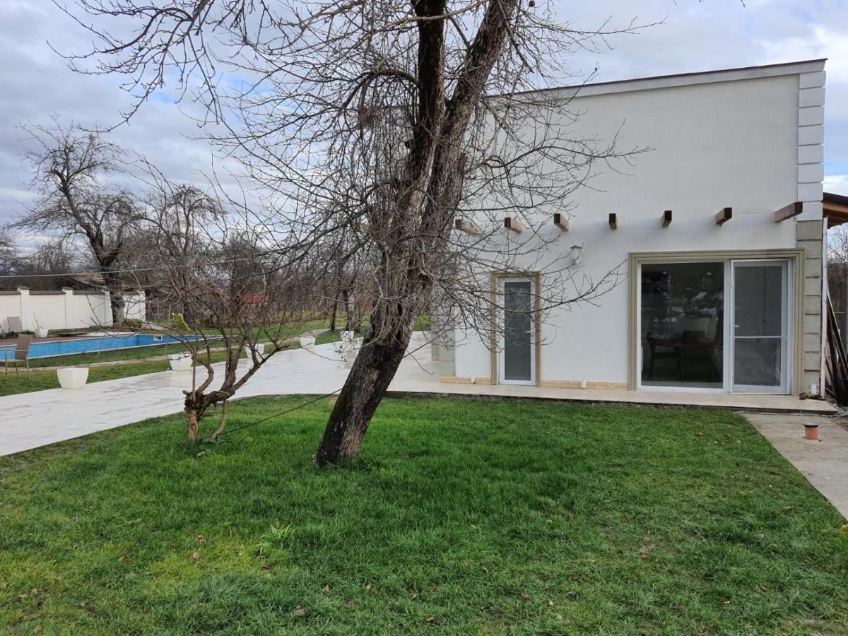 Pensiunea Groza Târgu Jiu Exteriör bild